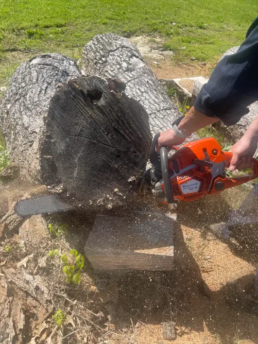 Chainsaw