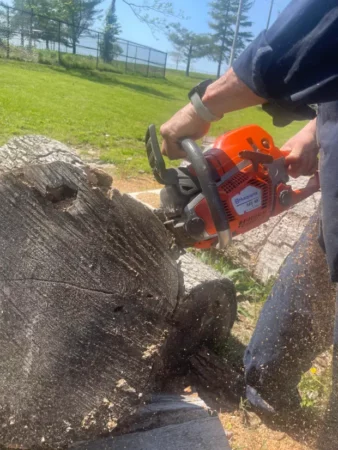 Chainsaw2